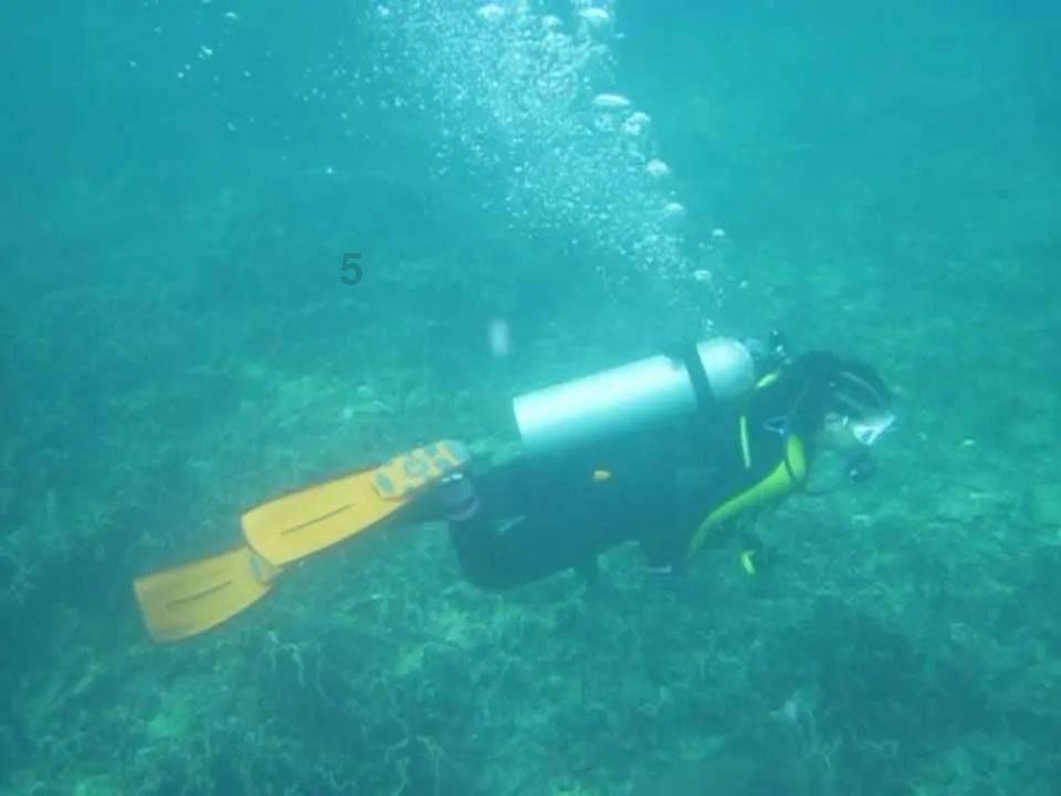 蝙蝠侠：阿甘之城
